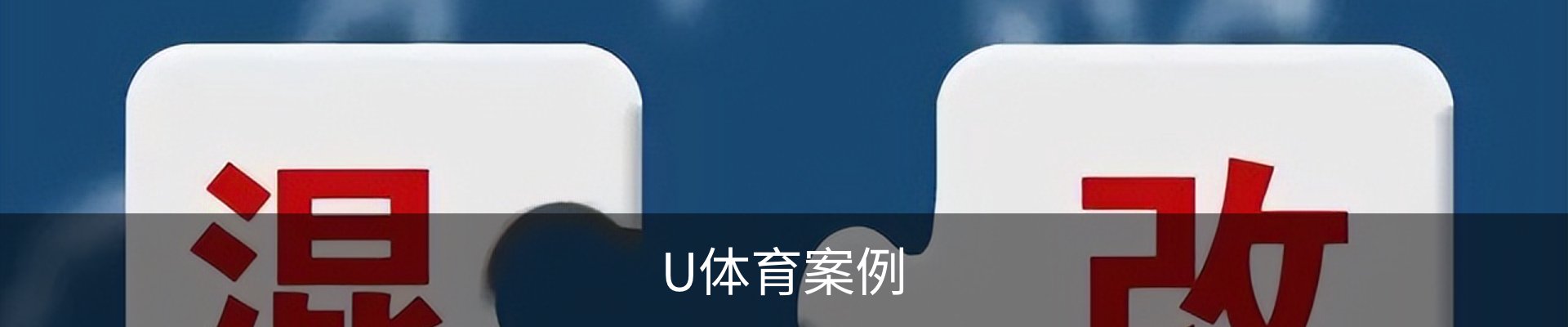 U体育案例